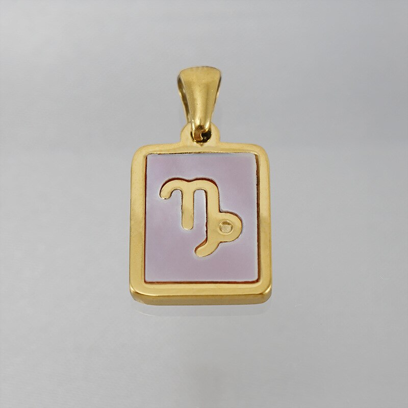 18K Gold Plated Stainless Steel Pink Shell 12 Constellation Pendant Necklace For Women Zodiac Sign Choker Jewelry